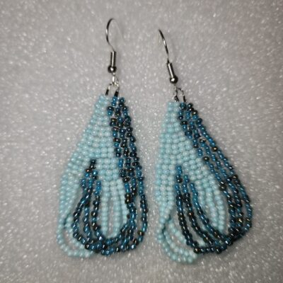 Shades of Blue Earrings