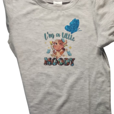 I'm a Little Moody T-shirt (4-5 years)