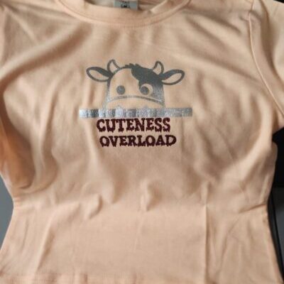 Orange T-shirt (4-5 years) - "Cuteness Overload"