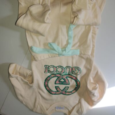 Gucci Outfit (6-12 Months)