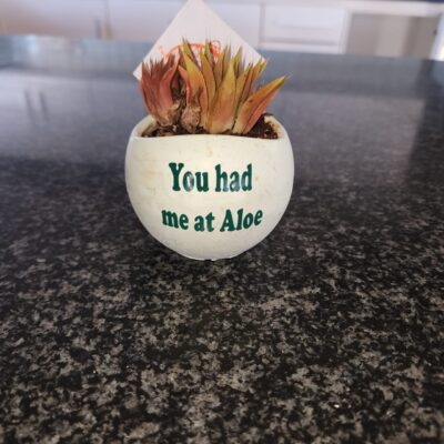 Mini Pot Plant "You had me at Aloe"
