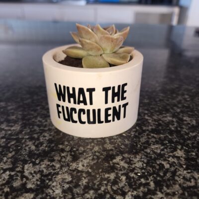 Mini Pot Plant "What the Fucculent" 2