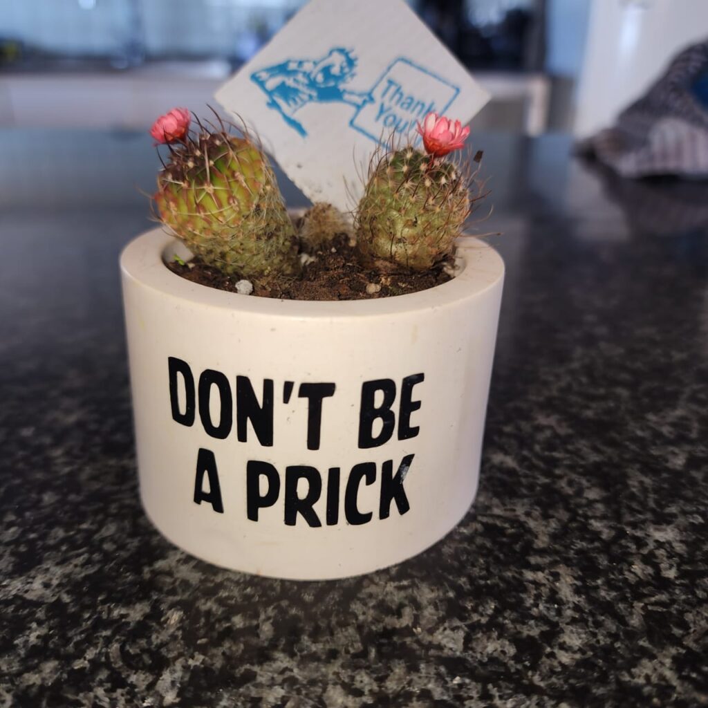 Mini Pot Plant "Don't be a Prick"