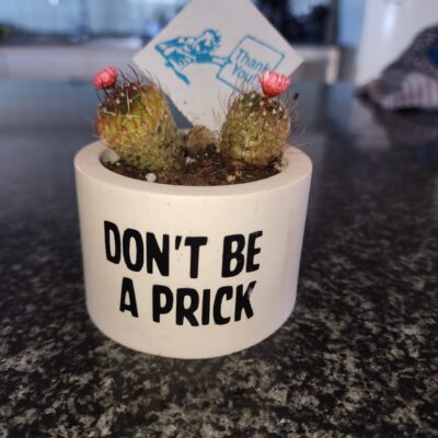 Mini Pot Plant "Don't be a Prick"