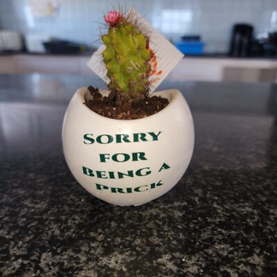 Mini Pot Plant "Sorry for being a Prick"